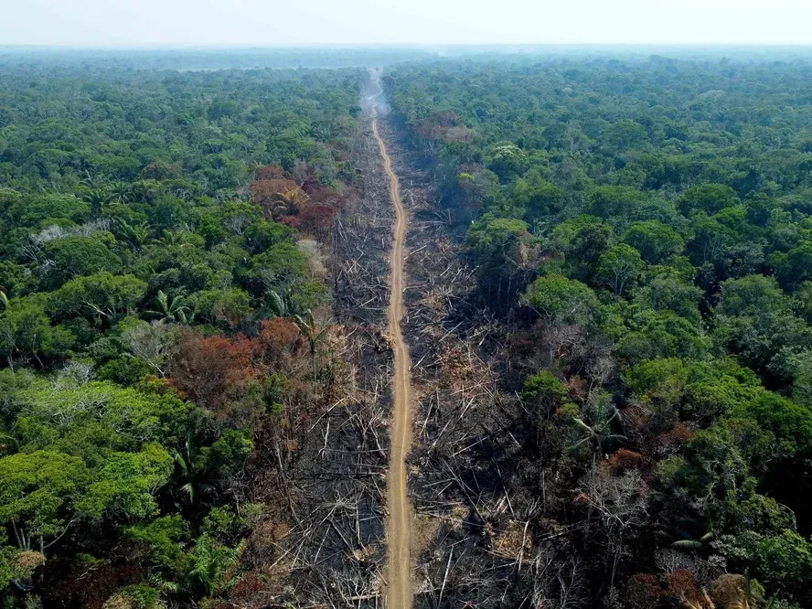 Amazônia Legal corresponde a 59% do território brasileiro