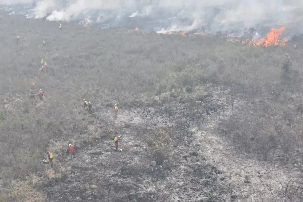 Chamas foram 100% debeladas pelos bombeiros em quatro regiões do estado