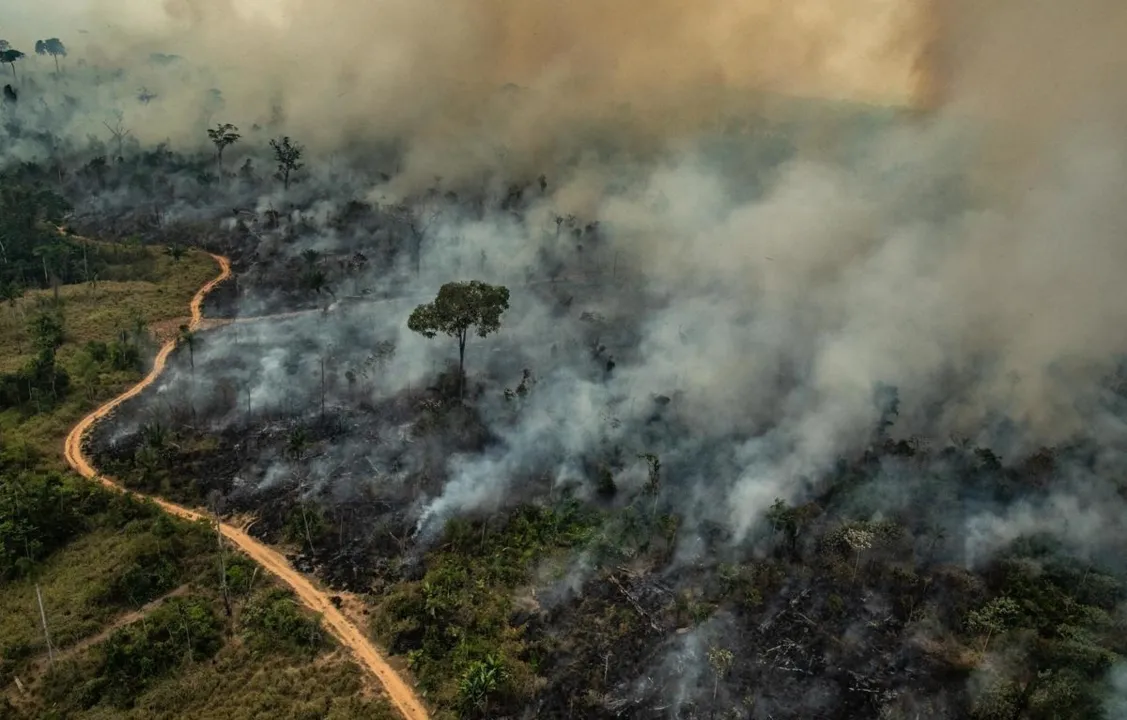 O levantamento realizado pelo MapBiomas mostra que a Amazônia foi o bioma mais afetado pelo fogo