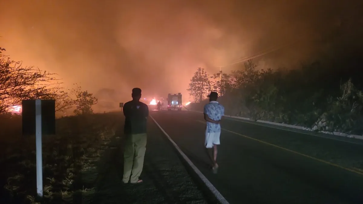 As chamas que se alastraram pela vegetação