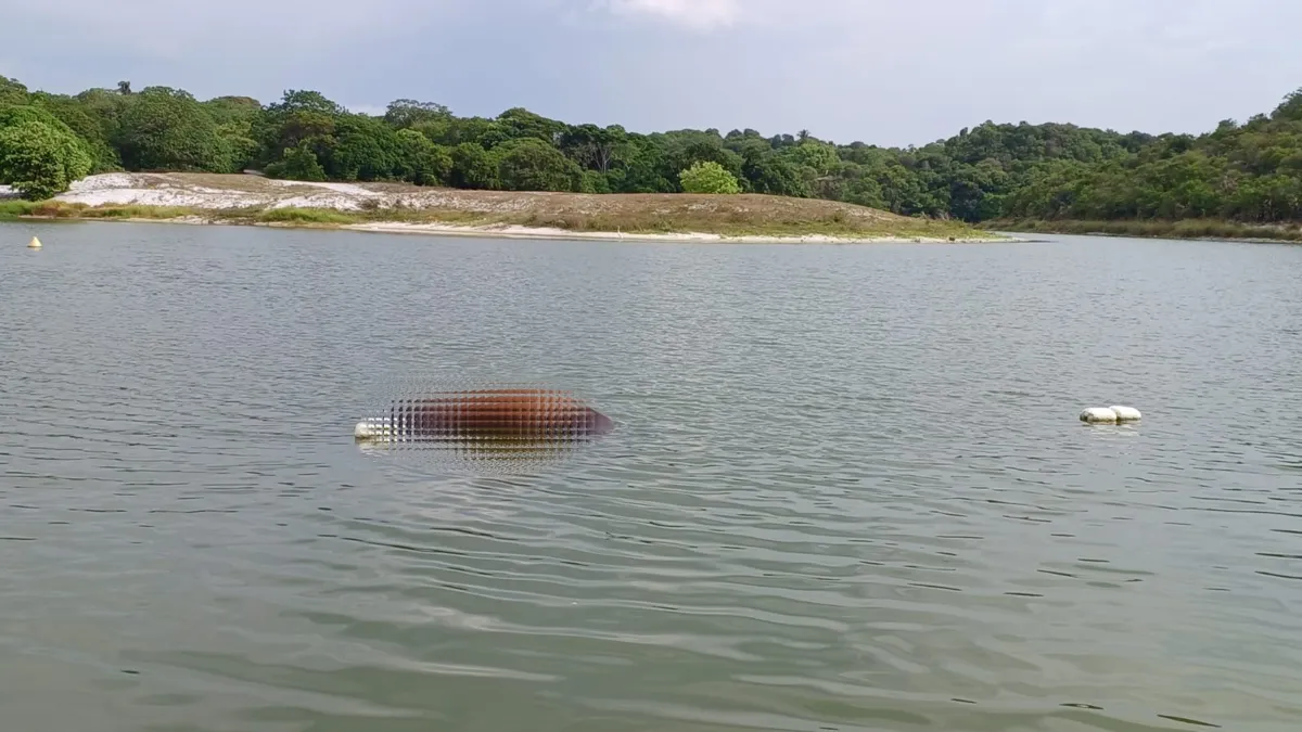 Cavalo foi encontrado morto na Lagoa do Parque Metropolitano do Abaeté