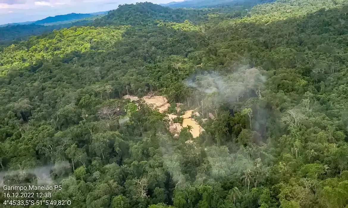 Dom Phillips preparava um livro sobre a Região Amazônica