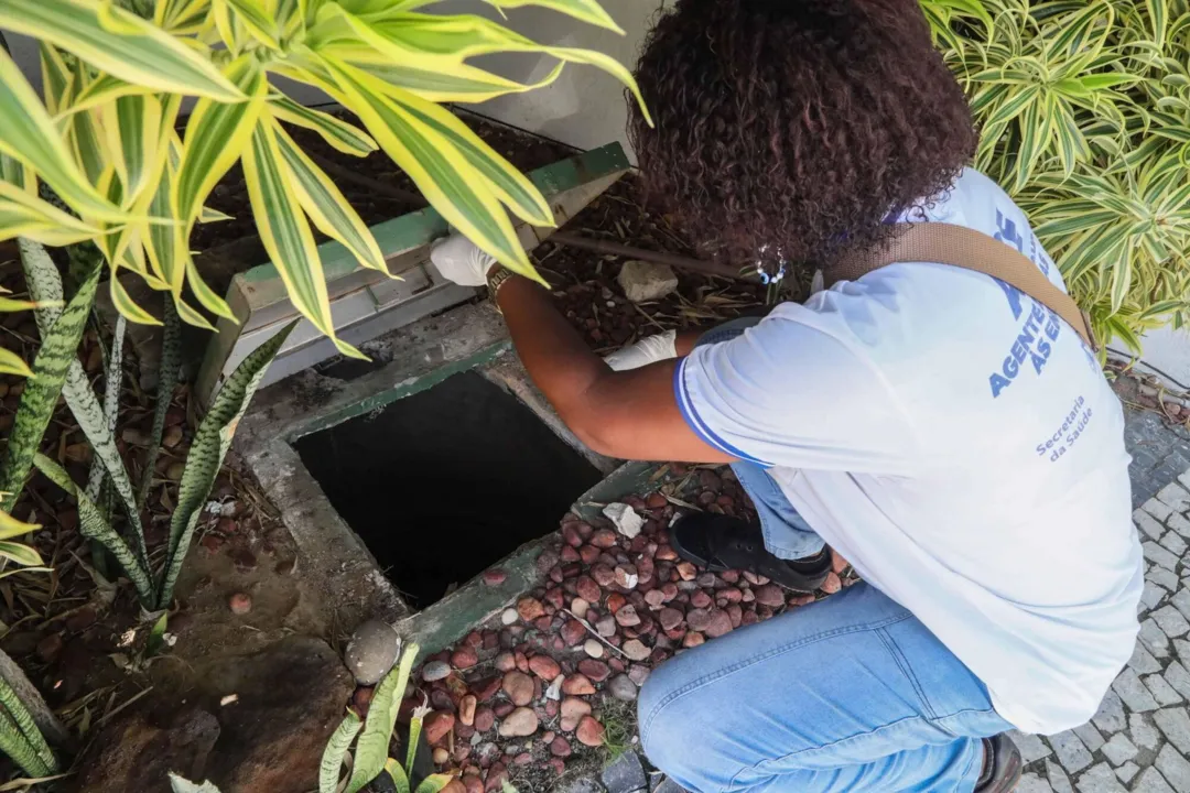 Agentes realizaram inspeções para combate a dengue e outro vírus