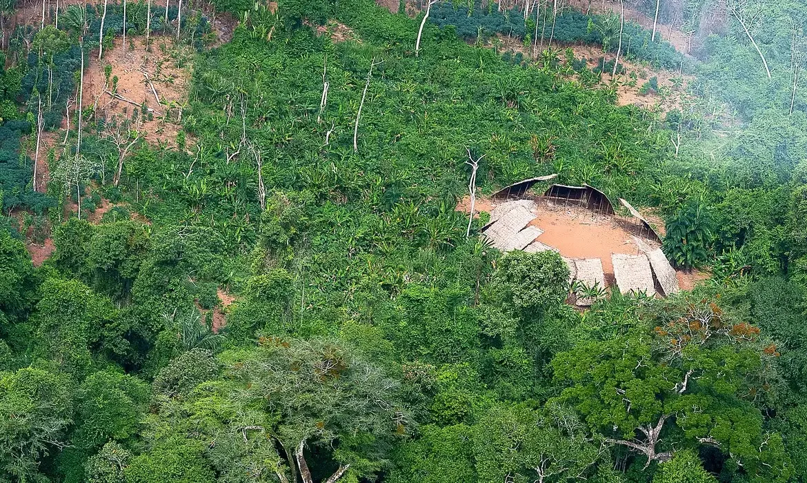 Trata-se do menor índice desde 2013, quando foram desmatados 178 km²