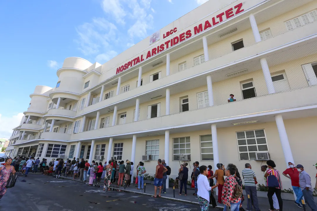 Confira a coluna deste domingo