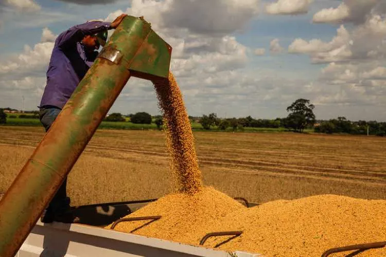 As exportações agropecuárias subiram 80,3% em janeiro