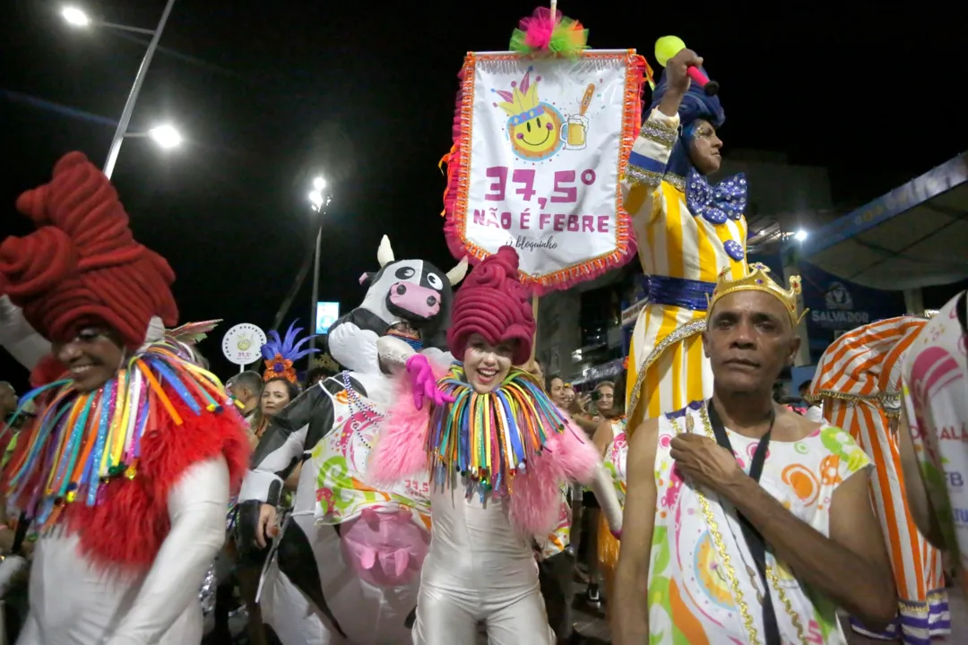 Imagem ilustrativa da imagem Foliões capricham nas fantasias para curtir bloquinhos e fanfarras