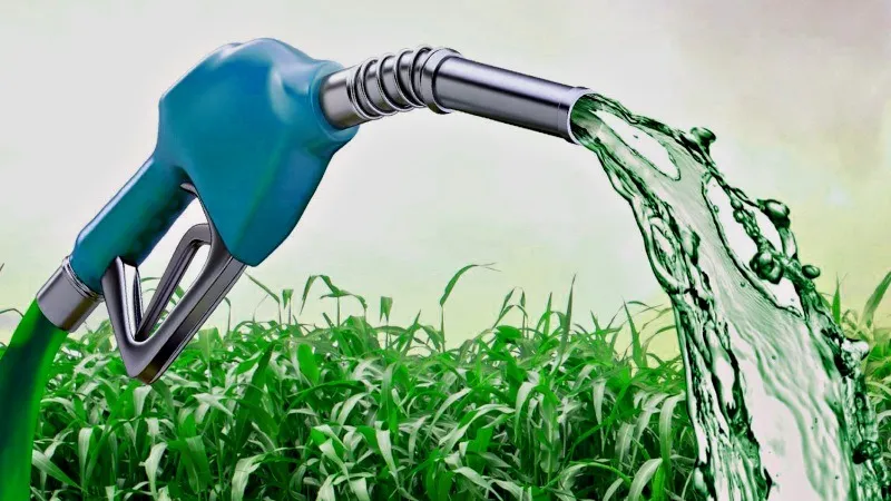 Estão previstos incentivos fiscais a quem produzir biocombustível