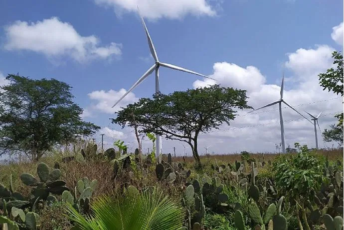 Apesar dos benefícios, Parques Eólicos podem gerar impactos para a comunidade