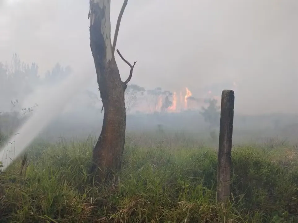 Rodovia em SC foi parcialmente interditada por causa de incêndio florestal