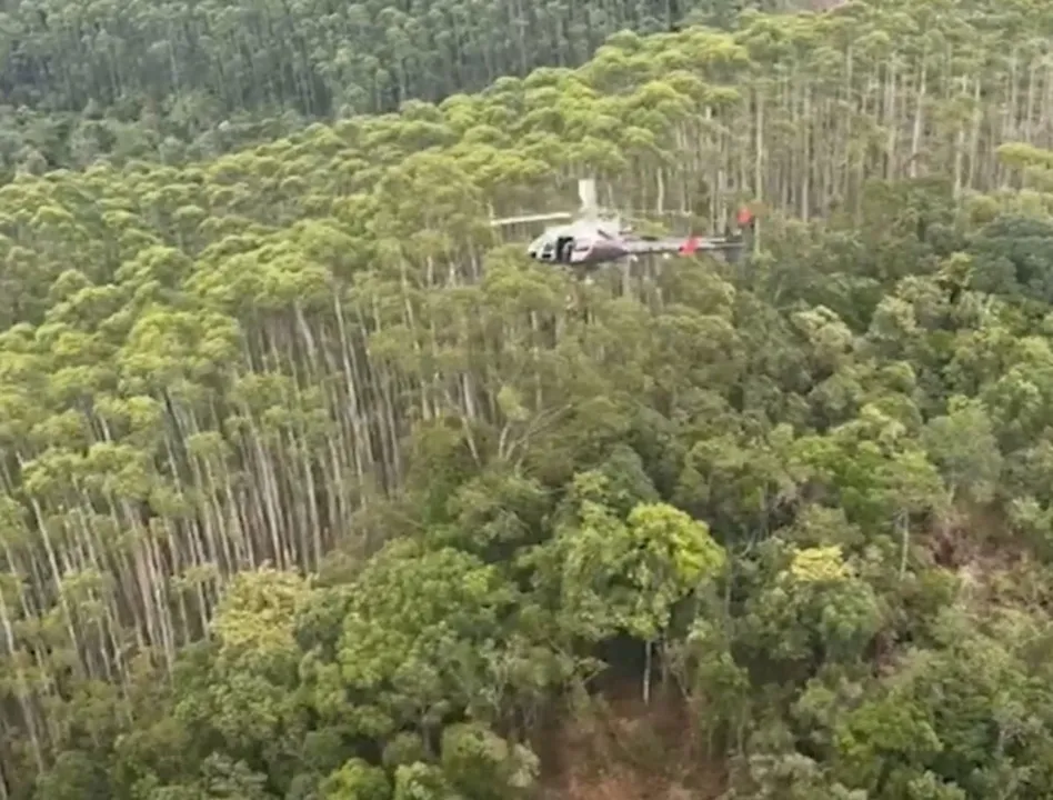 Aeronave foi encontrada junto com os corpos dos quatro tripulantes