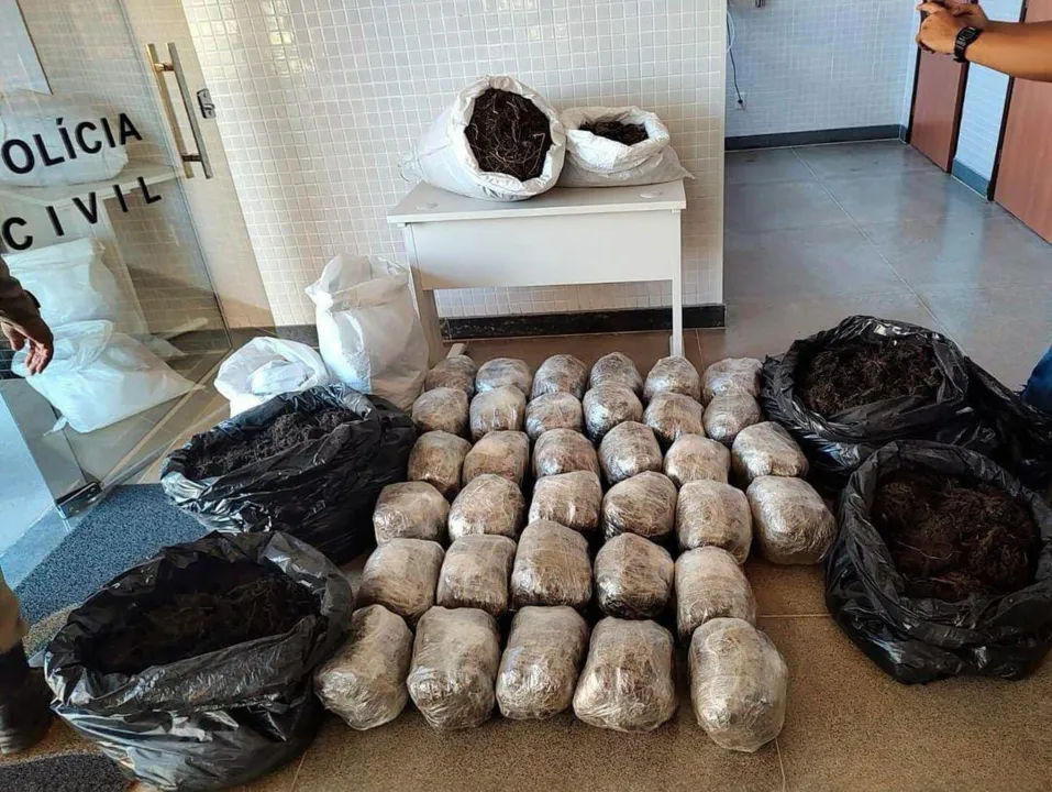 Cerca de 200 kg de maconha foram localizados na quinta-feira