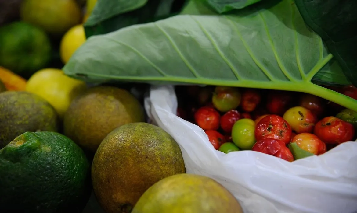 Brasil é o maior consumidor de agrotóxicos do mundo