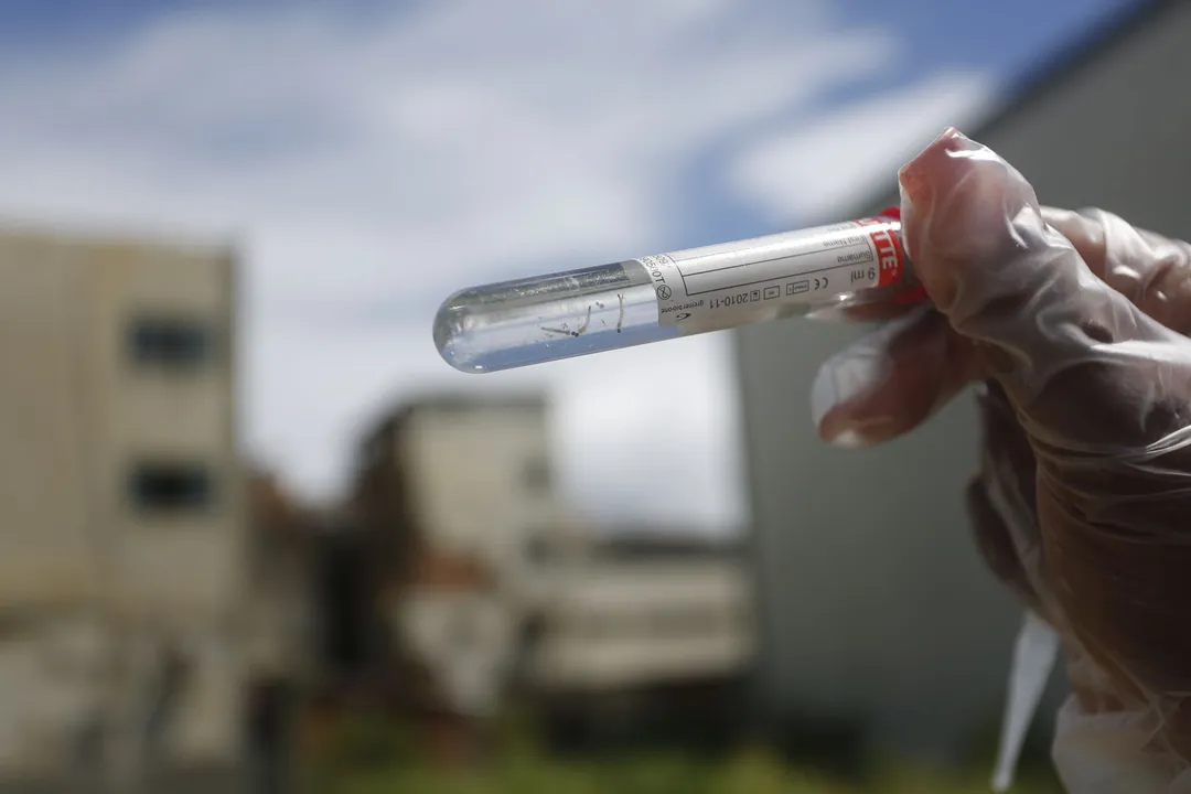 Agentes de endemias fiscalizam aéreas com focos de dengue