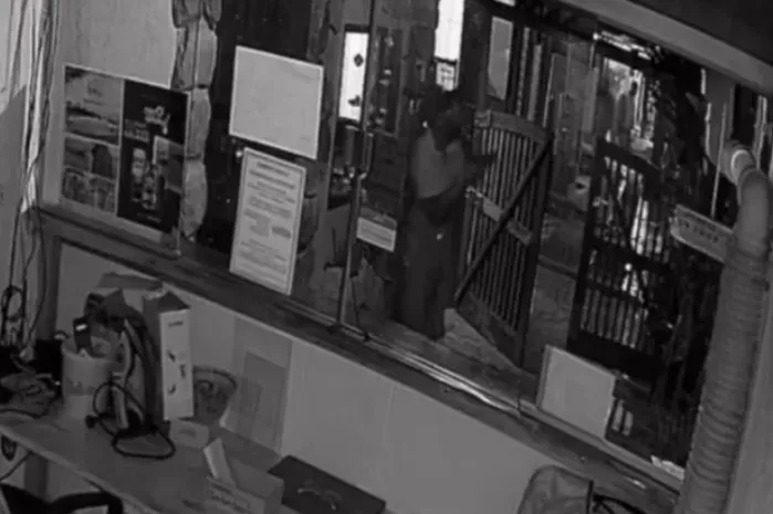 Através de imagens de uma câmera de monitoramento é possível ver pelo menos seis criminosos entrando no local