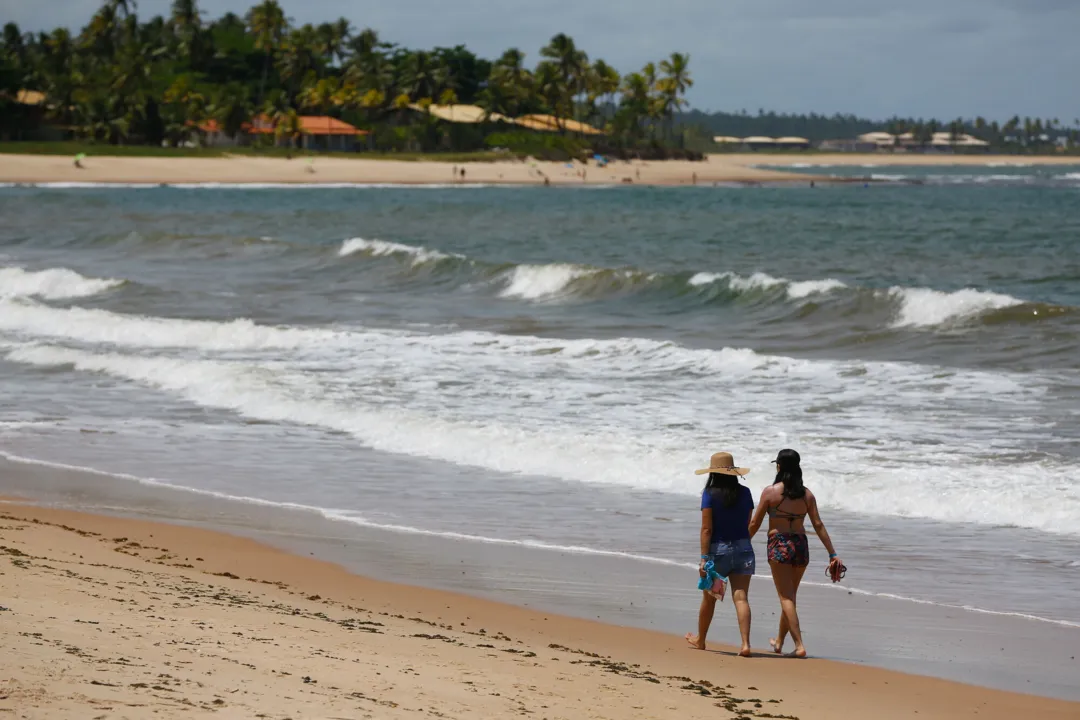 SALVADOR
ALTA PROCURA PELO LITORAL NORTE APONTA TENDÊNCIA PARA A ALTA ESTAÇÃO 
Com o processo gradual de redução das restrições impostas pela pandemia do novo coronavírus, as localidades do Litoral Norte têm ganhado grande procura nos últimos feriados, o que pode ser notado pelo intenso fluxo de veículos na Estrada do Coco e Linha Verde. Por fatores como proximidade, acesso de carro por estradas em boas condições e locais com infraestrutura em "paraísos" à beira-mar, está havendo uma "fuga" mais acentuada que em temporadas anteriores para essas localidades. Ao que parece, esta tendência deve ser mantida na alta estação, que já se aproxima, incluindo as festas de fim de ano e o veraneio nos primeiros meses de 2021.
Na foto: Praia da Espera em Itacimirim. Faixa de areia que recebeu a certificação bandeira azul.
Foto: Rafael Martins/ Ag: A TARDE
Data: 22/10/2020