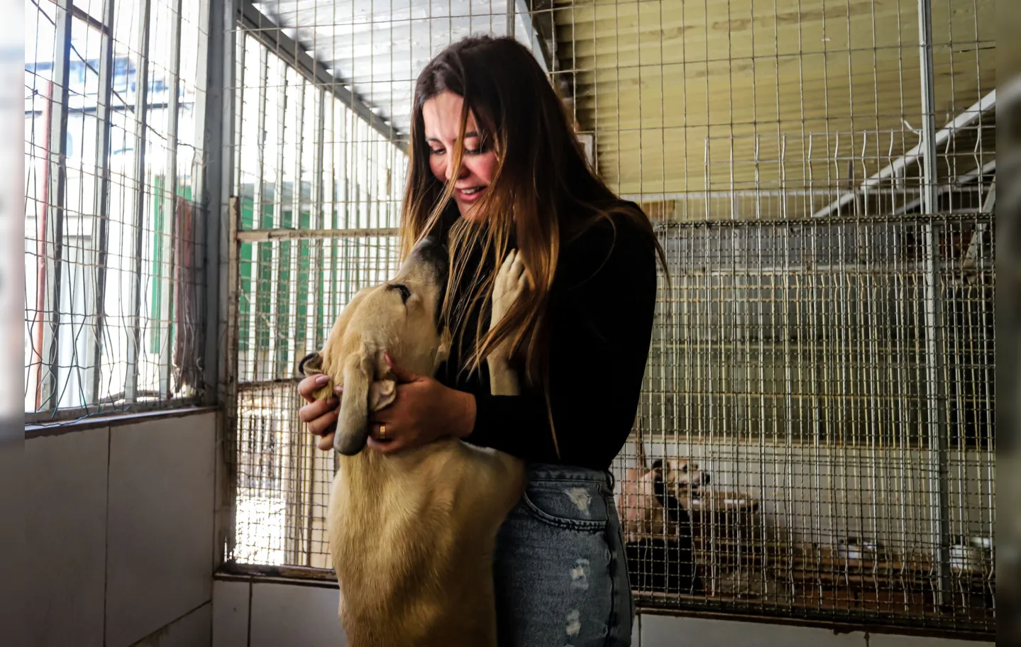 Apaixonada por cães, Marina destina maior parte da renda para o abrigo
