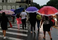 Chuvas em SP provocam alagamentos e queda de árvores