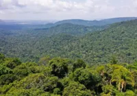 Pesquisadores descobrem cidades de 2.500 anos na Amazônia