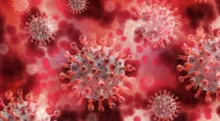 Imagem ilustrativa da imagem Documentos dizem que coronavírus foi registrado nos EUA antes da China