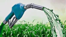 Imagem ilustrativa da imagem Governo atualiza regras do Selo Biocombustível Social