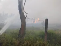 Imagem ilustrativa da imagem Incêndio atinge 200 hectares na maior unidade de conservação de SC