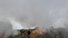Imagem ilustrativa da imagem Incêndios no Capão mobilizam bombeiros, voluntários e aviões