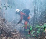 Imagem ilustrativa da imagem Mais de 150 bombeiros atuam em ações preventivas no interior da Bahia
