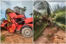 Imagem ilustrativa da imagem Motorista de caminhão morre após ser atingido por tronco de coqueiro