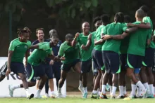 Imagem ilustrativa da imagem Nigéria e Costa do Marfim se enfrentam na final da Copa da África