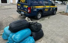 Imagem ilustrativa da imagem PRF apreende quase 100 kg de maconha no norte de Bahia