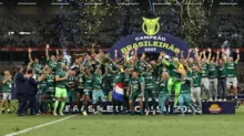 Imagem ilustrativa da imagem Soberano: Palmeiras conquista o 12º Campeonato Brasileiro
