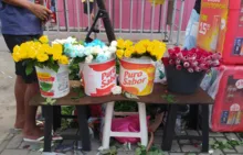 Imagem ilustrativa da imagem Venda de flores é garantia de lucro em Festa de Iemanjá
