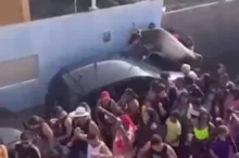 Imagem ilustrativa da imagem Vídeo: Boi "bandido" invade bloco de carnaval e deixa foliões feridos