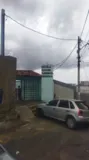 Imagem ilustrativa da imagem Vídeo: Guarda Civil resgata filhotes de jiboias em escola