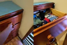 Imagem ilustrativa da imagem Vídeo: Mãe acha cobra mortal na gaveta do filho