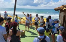 Imagem ilustrativa da imagem Voluntários se unem para fazer limpeza na praia de Buraquinho