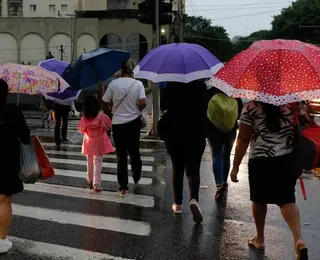 Chuvas em SP provocam alagamentos e queda de árvores