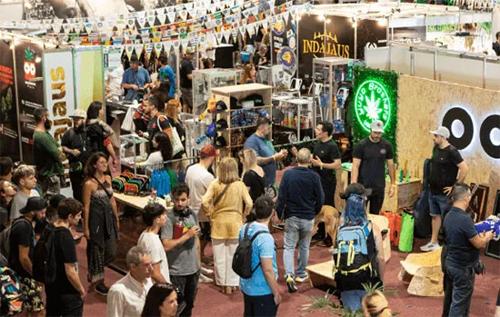 Imagem ilustrativa da imagem ExpoCannabis tem planejamento anual