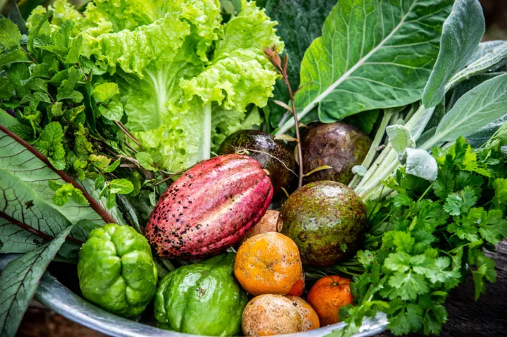 Produzir alimentos perante as incertezas significa um ato de amor