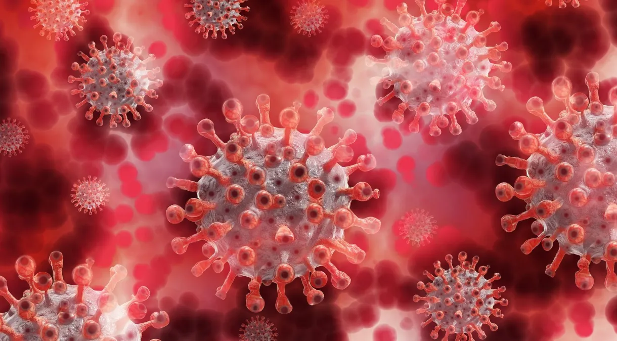 Documents say that the coronavirus was recorded in the United States before China