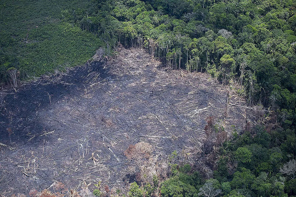 O Brasil segue sendo um dos países líderes em desmatamento de áreas florestais