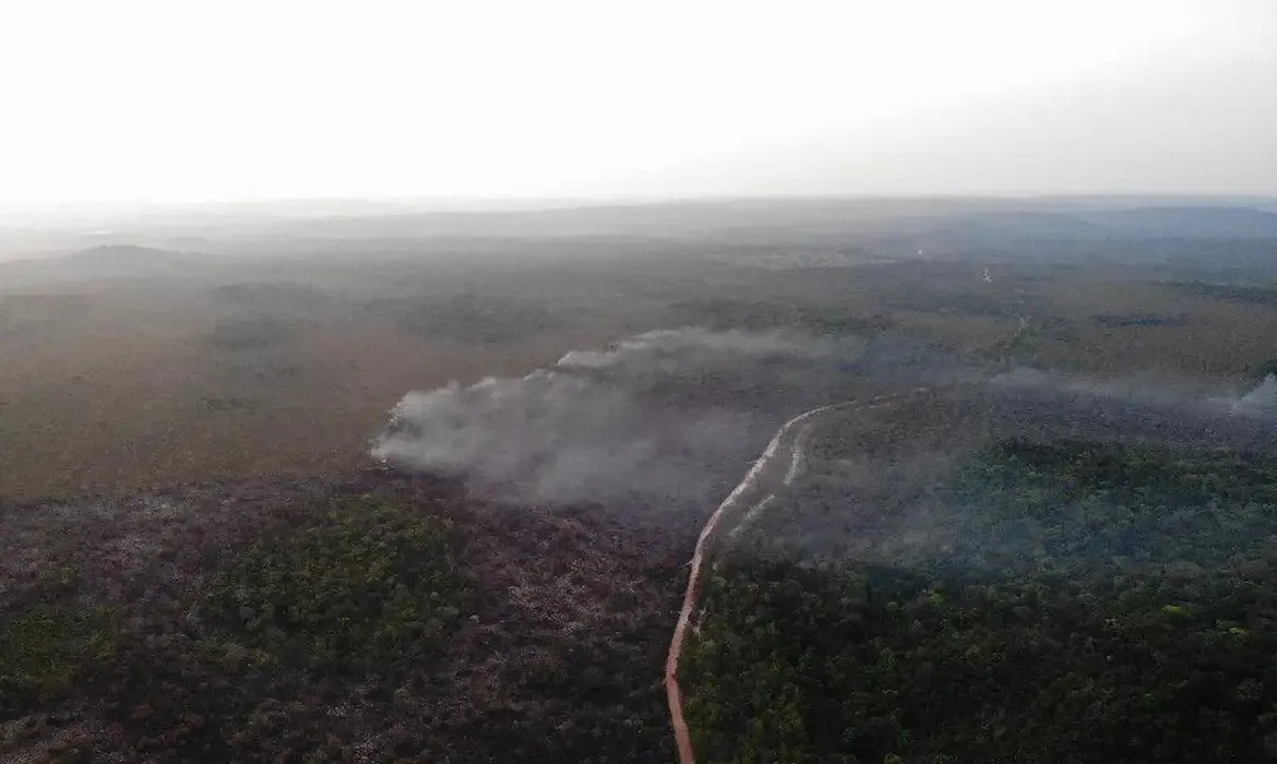 Mais de um milhão de hectares foram consumidos pelo fogo no Brasil em janeiro