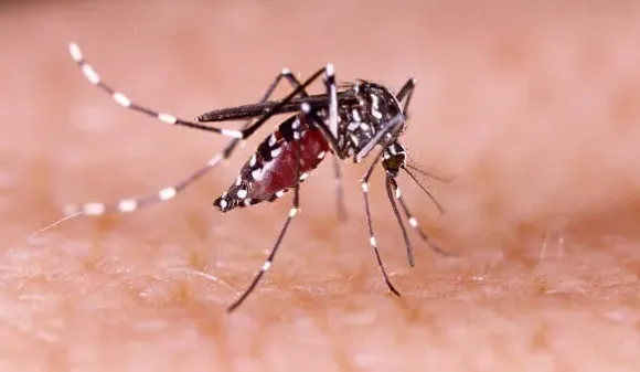 Até o momento, o estado recebeu 170.469 doses de vacina contra a Dengue
