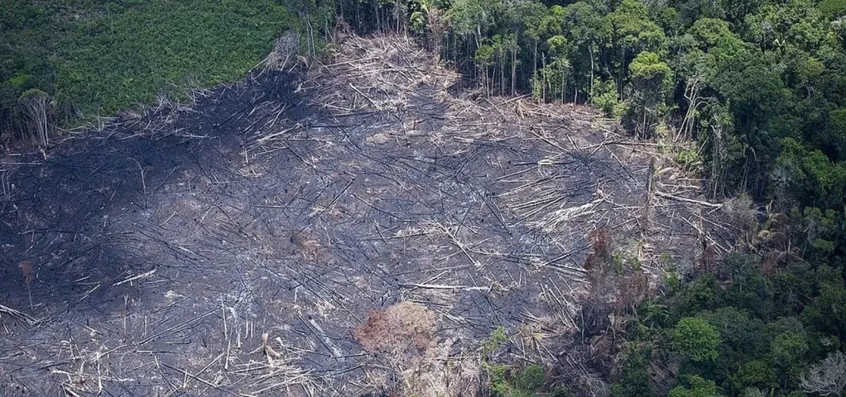 Dados revelaram também uma queda maior nos 70 municípios prioritários para combate ao desmatamento na Amazônia Legal