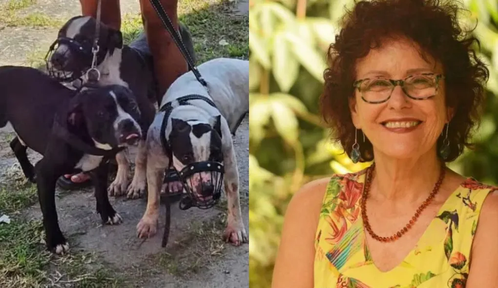 A escritora saía de casa quando foi atacada pelos cachorros