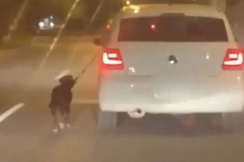 Motorista foi flagrado arrastando cachorro pela coleira enquanto dirigia carro