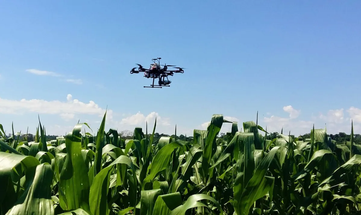 Os drones têm sido cada vez mais utilizados nas lavouras