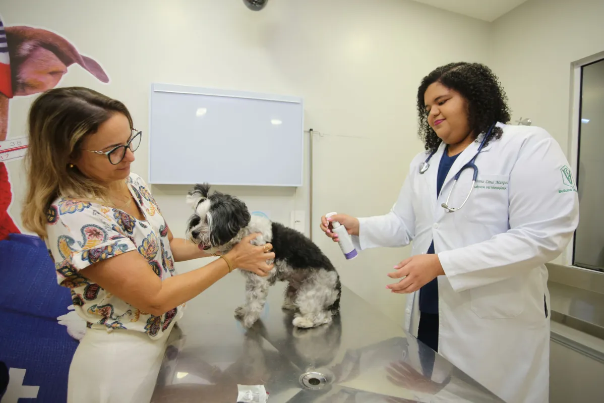 “A dirofilariose em cães e gatos tem cura, porém, pode ser potencialmente fatal se tratada tardiamente”, Verena Marques, médica veterinária Mosquito da dengue transmite outra doença aos pets, a dirofilariose Na foto: Médica veterinária Verena Marques e sua paciente Elizabeth e a tutora Mirela Carvalho Foto: Olga Leiria / Ag. A TARDE Data: 15/03/2024