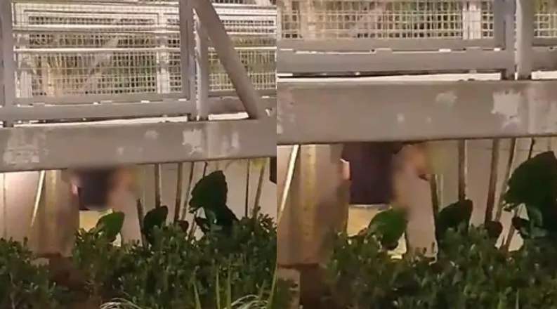 Imagem ilustrativa da imagem Vídeo: casal é flagrado fazendo sexo em passarela do Iguatemi